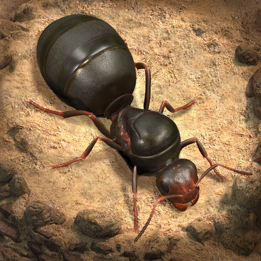 Обложка игры «The Ants»