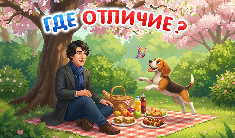 Обложка игры «Где Отличие?»