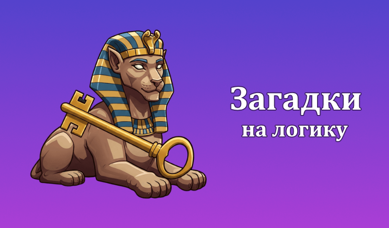 Обложка игры «Загадки на логику»