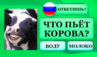 Обложка игры «Викторина: Живая природа»