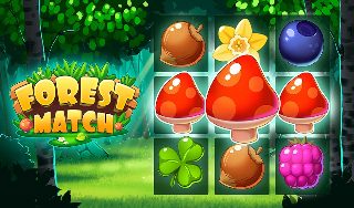 Обложка игры «Forest Match»