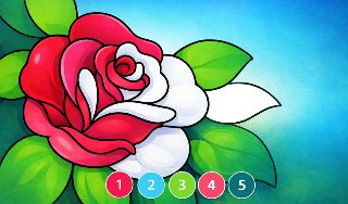 Обложка игры «Color by Number»