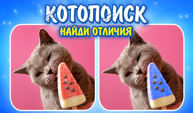 Обложка игры «Котопоиск Найди отличия»