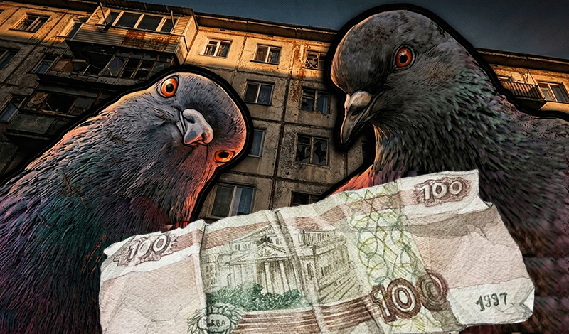 Обложка игры «Выживание на 100 рублей»